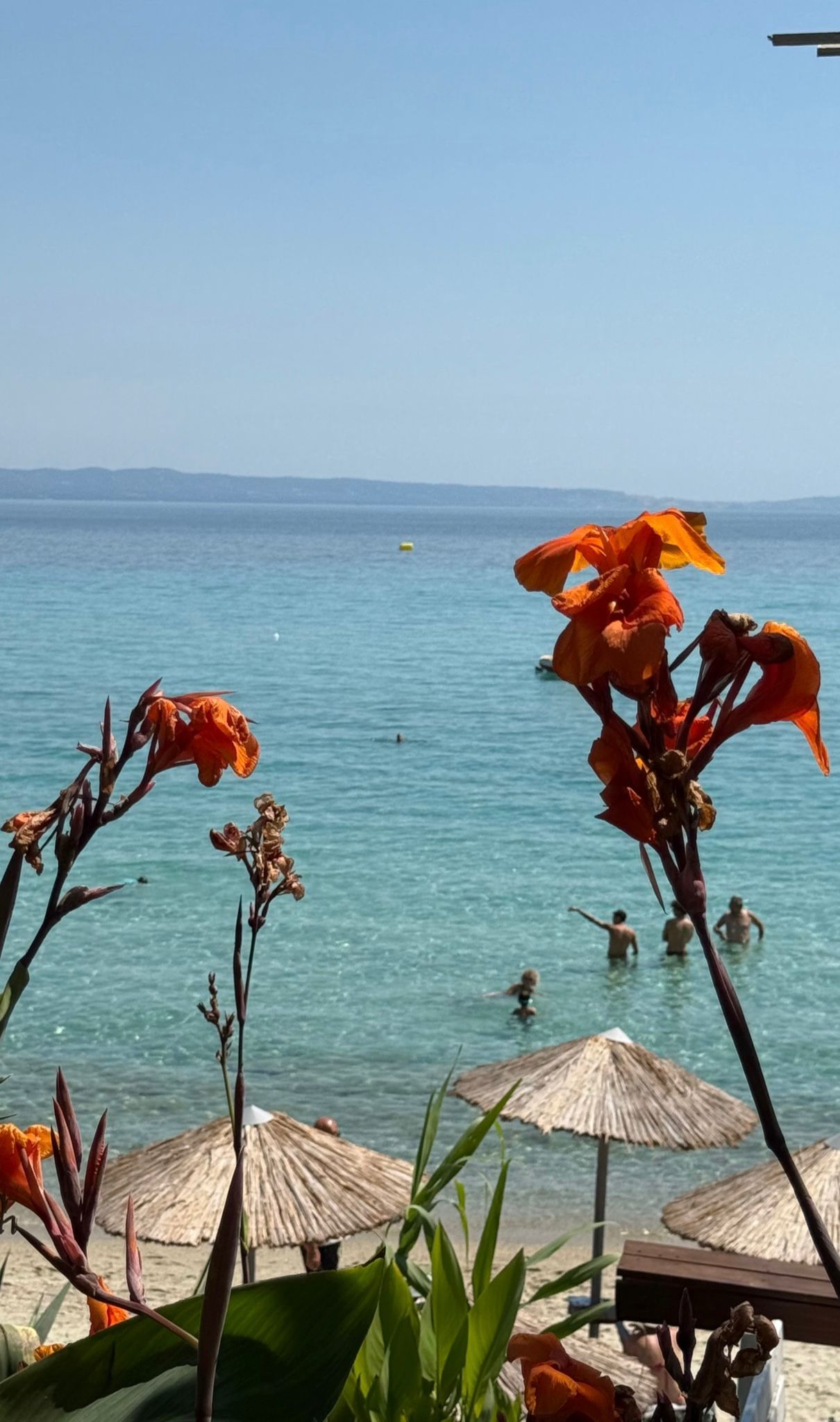 Afitos beach with turquoise water and orange flowers